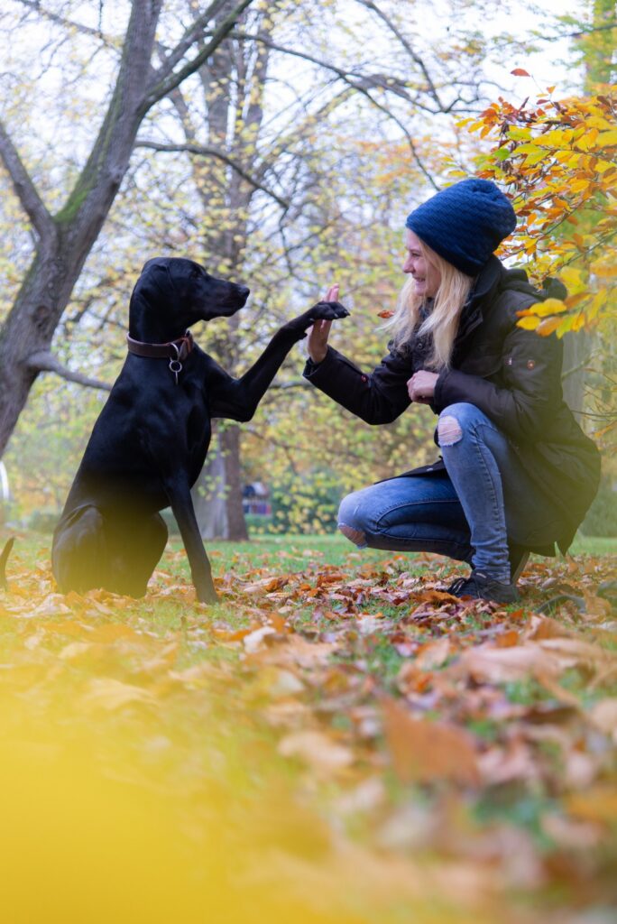 Marissa Neirich gibt einem schwarzen Hund im Herbstlaub die Pfote